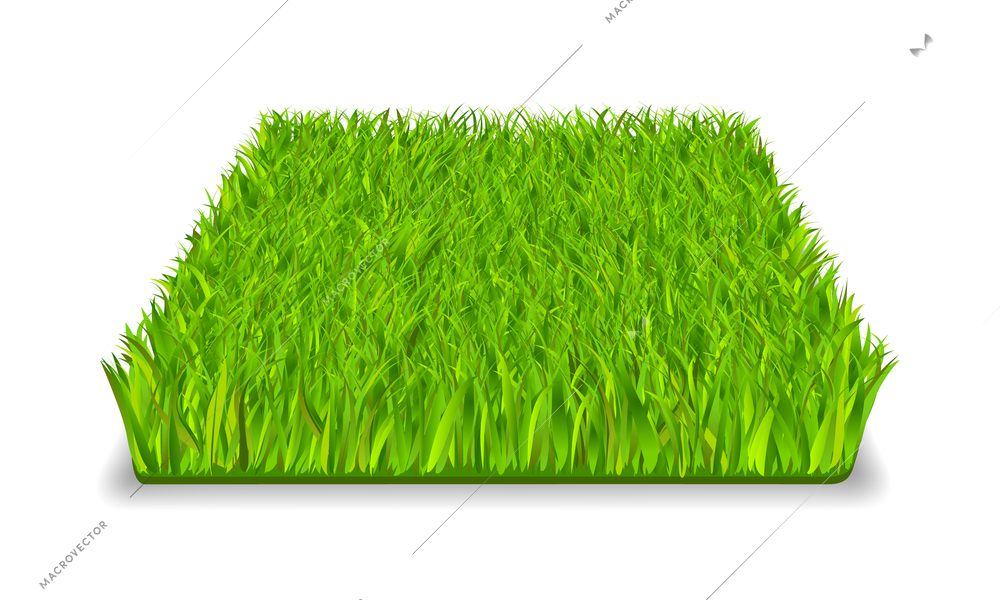 Green grass square realistic isolated vector illustration