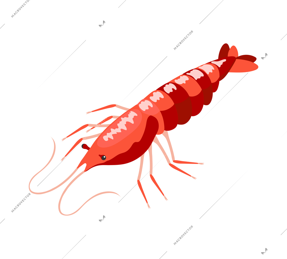 Red langoustine isometric icon on white background 3d vector illustration