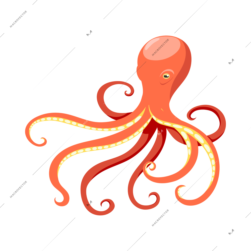 Isometric color octopus 3d icon on white background vector illustration