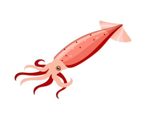 Squid isometric icon on white background 3d vector illustration