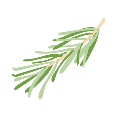 Green rosemary branch isometric icon 3d vector illustration