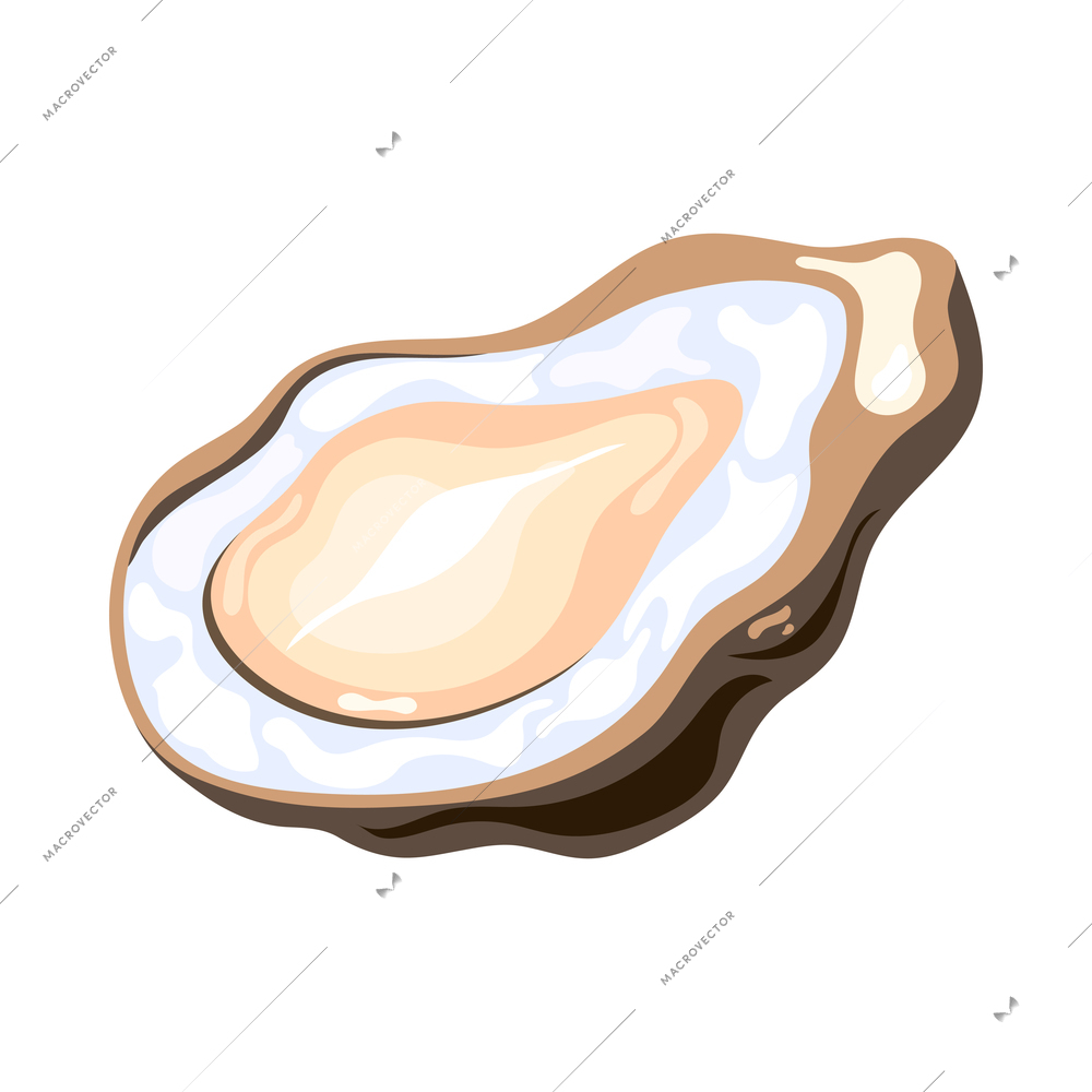 Isometric oyster icon on blank background 3d vector illustration