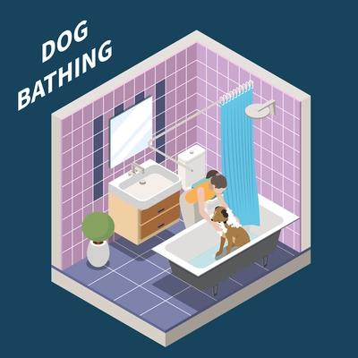 Dog sitter isometric concept with dog bathing symbols vector illustration