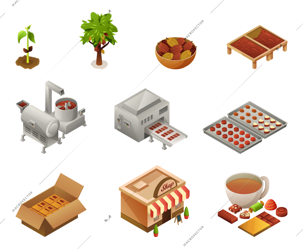 Chocolate isometric set of evergreen chocolate tree cocoa beans and equipment for sweets production isolated vector illustration