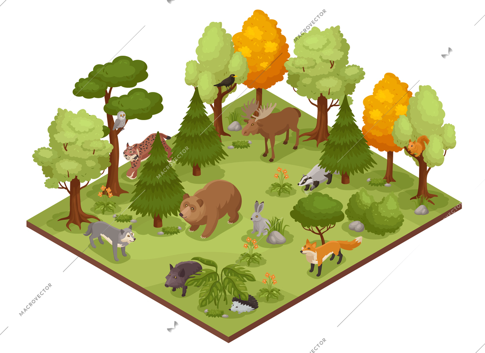 Isometric forest animal composition with range of various trees and animals standing on rectangular platform terrain vector illustration