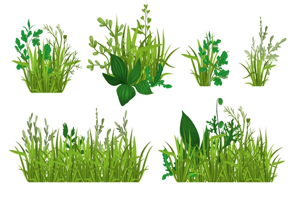 Green grass set with isolated images of ripe fresh leaves piles with stalks on blank background vector illustration