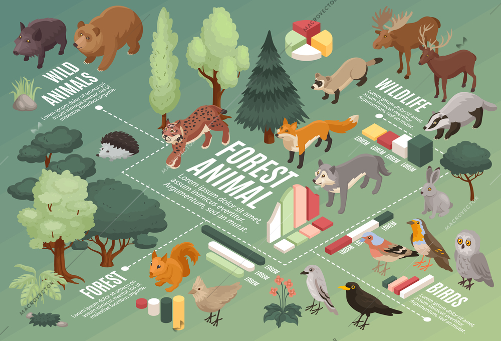 Isometric forest animal horizontal composition with infographic bar charts text captions with animals and tree icons vector illustration