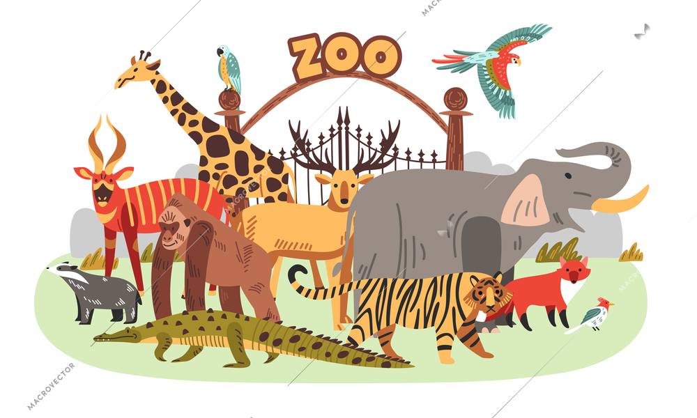 Zoo colored composition various large animals standing in front of the zoo gates vector illustration