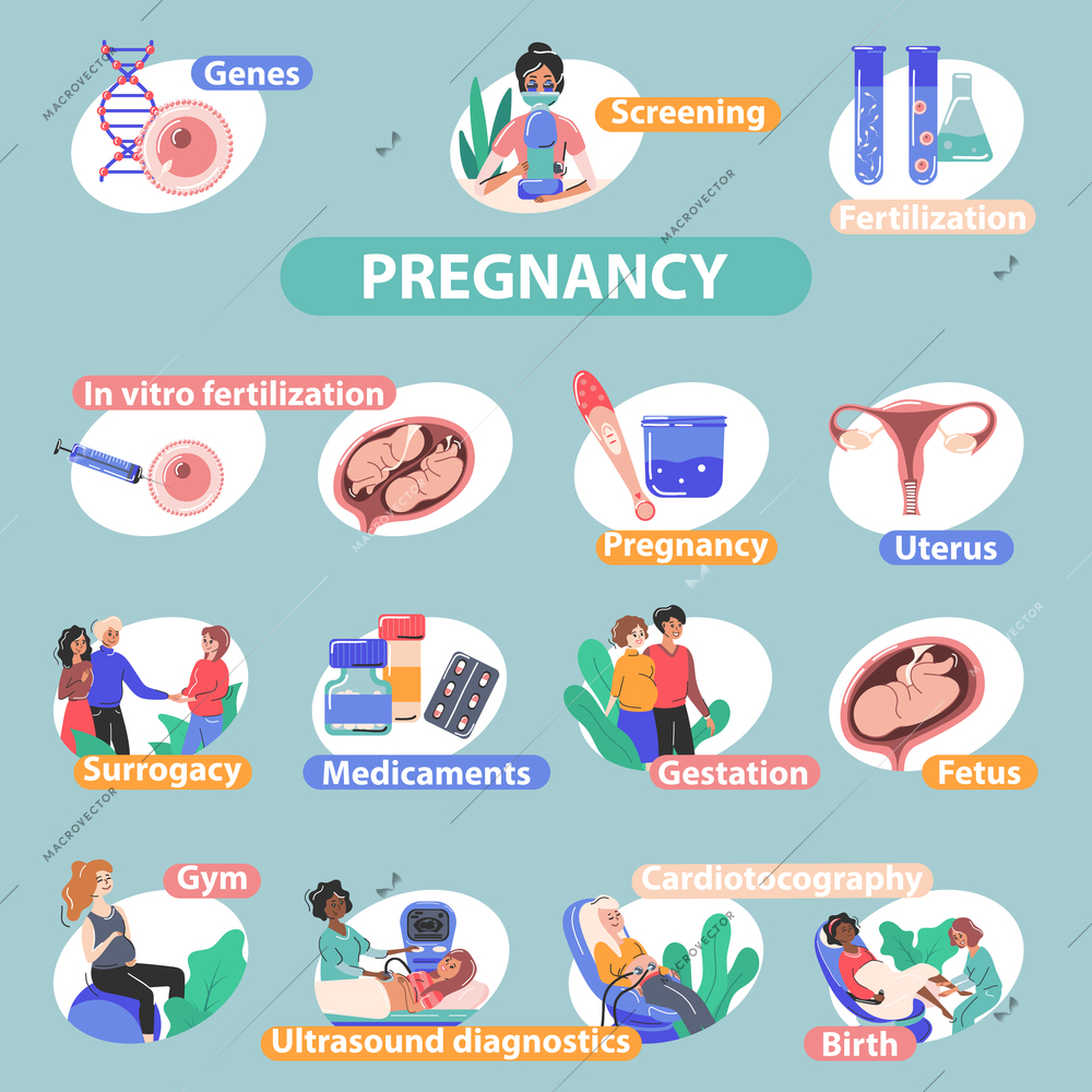 Pregnancy fertility ivf surrogacy flat infographics with isolated compositions of text fertilization tubes medicaments and people vector illustration