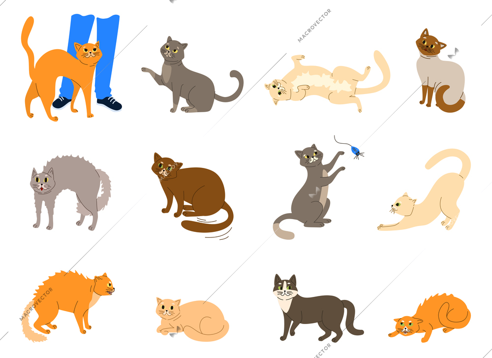 Cats emotions body language set flat isolated vector illustration