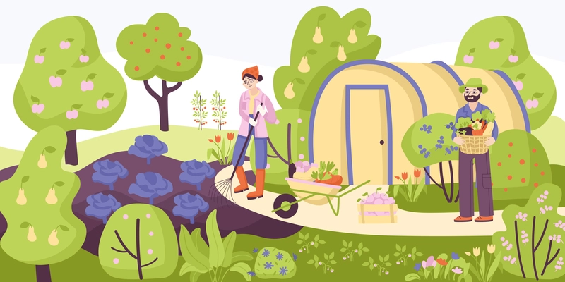 Garden colored composition a green garden with two helpers weeding and harvesting cabbage beds vector illustration