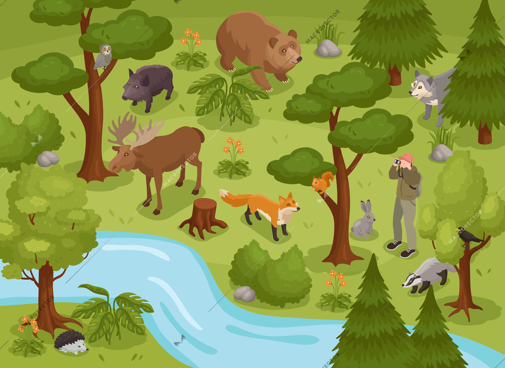 Isometric forest composition with outdoor scenery of forest with river trees grass bushes and various fauna vector illustration