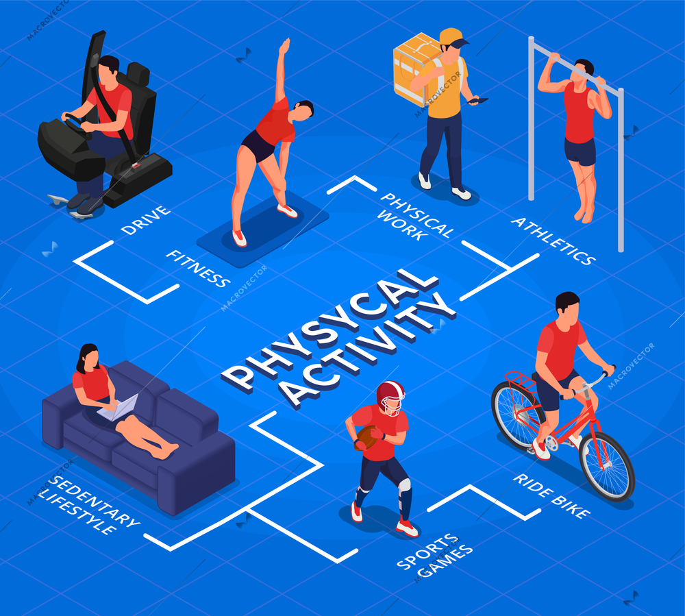 Physical activity isometric flowchart with people driving working and doing sports vector illustration