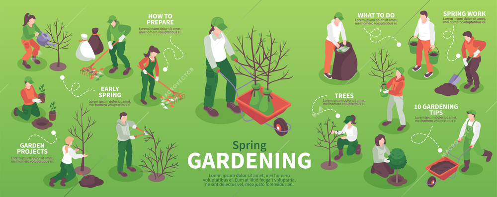 Spring gardening isometric infographics with male and female gardeners planting and watering trees raking leaves pruning digging 3d vector illustration