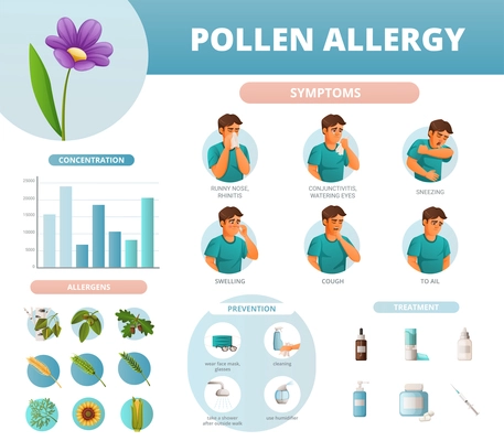 Pollen allergy symptoms prevention treatment concentration and allergens infographics in cartoon style vector illustration