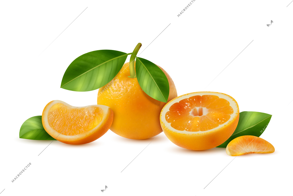 Realistic fresh juicy oranges with slices and green leaves against white background vector illustration