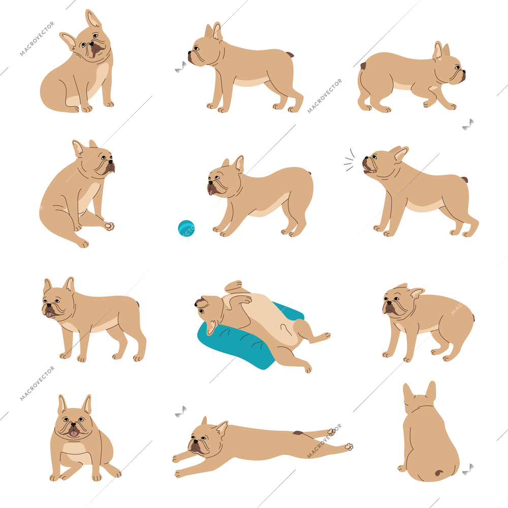 Dogs emotions body language set with activity symbols flat isolated vector illustration