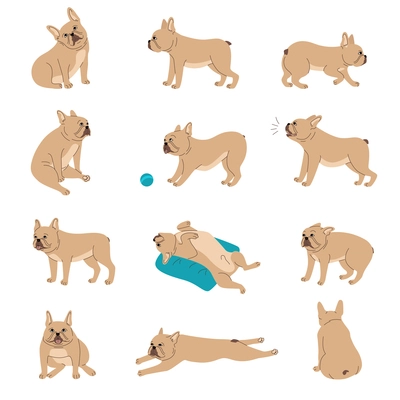 Dogs emotions body language set with activity symbols flat isolated vector illustration