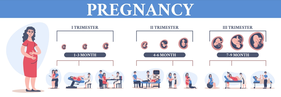 Pregnancy childbirth timeline flat composition with isolated icons of different stages doctors consultations and fetus growth vector illustration