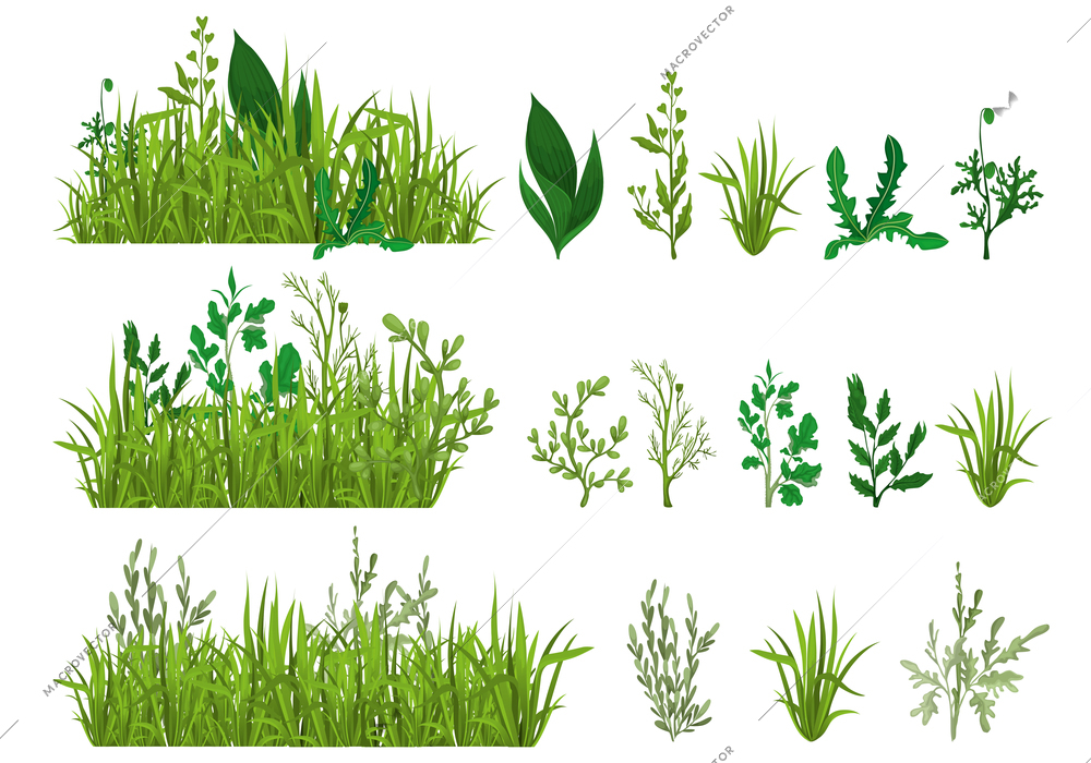 Green grass realistic spring set with leaves of dandelion lily  and other field plants isolated vector illustration