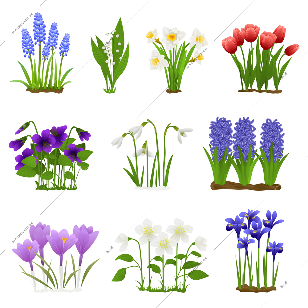 Spring flowers flat set of isolated icons with images of floral blossoms with grass and leaves vector illustration