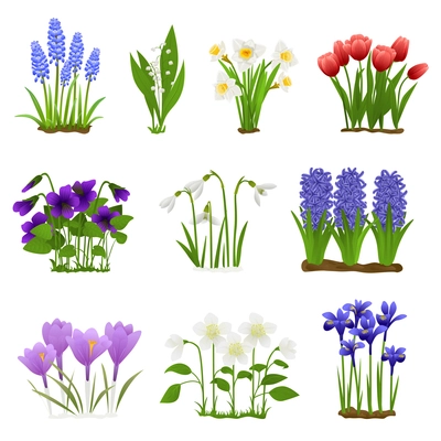 Spring flowers flat set of isolated icons with images of floral blossoms with grass and leaves vector illustration