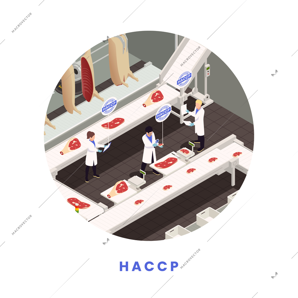 HACCP food safery concept with meat processing line and people making inspection vector illustration