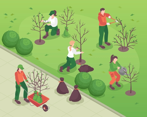 Men and women doing spring gardening works planting watering and pruning trees on green lawn 3d isometric vector illustration