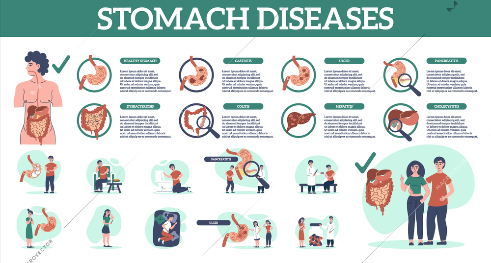 Stomach diseases timeline people flat infographics with editable text and round compositions with anatomic limb views vector illustration