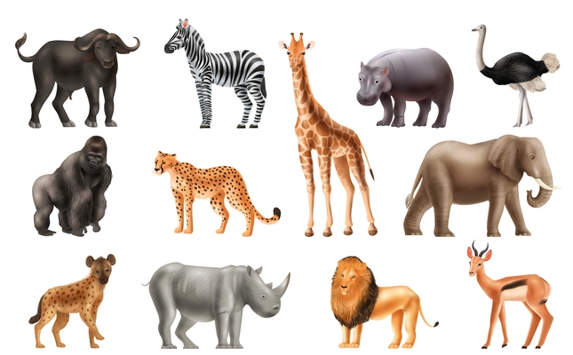 Realistic africa animals set of isolated icons with images of big african animals on blank background vector illustration