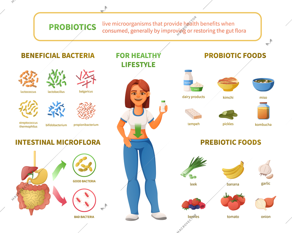 Probiotics infographics cartoon set with female character surrounded by isolated icons of intestinal microflora bacteria foods vector illustration
