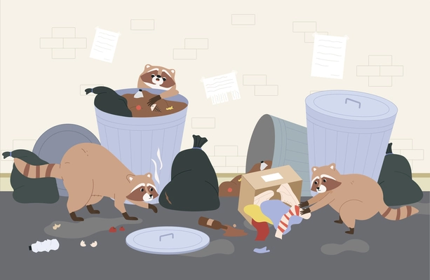 Three cute raccoons looking for food in street garbage containers flat vector illustration