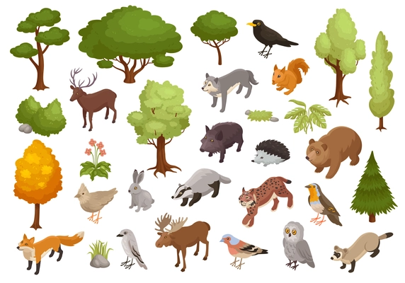 Isometric big forest animal set with isolated icons of forest habitants with birds trees and flowers vector illustration