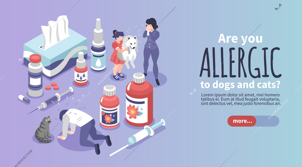 Isometric allergy horizontal banner with editable text more button and icons of medication with allergen pets vector illustration