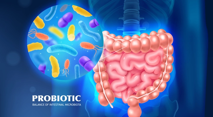 Probiotic as tool for balance of intestinal microbiota advertising background realistic vector illustration