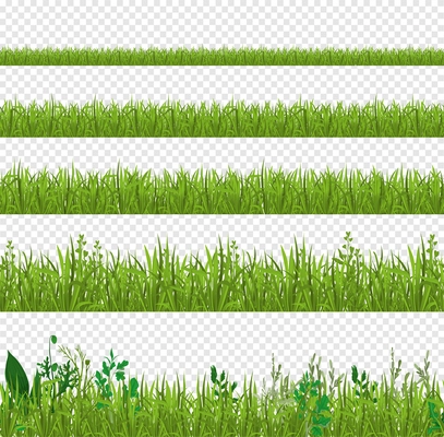 Grass set of isolated side views of fresh leaves with detailed row isolated on transparent background vector illustration