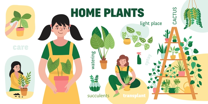 Home plants infographic set with care succulents watering transplant light place cactus and other descriptions vector illustration