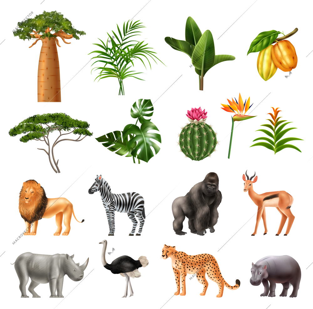 Realistic africa set of isolated icons with tropical plants fruits and images of wild exotic animals vector illustration
