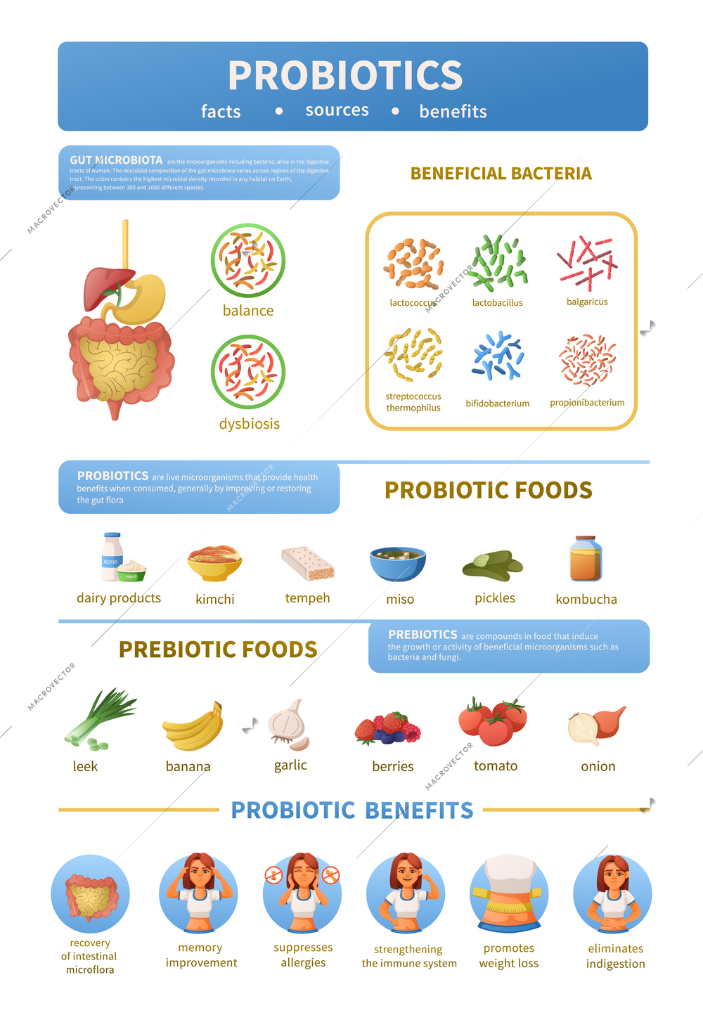 Probiotics infographics cartoon set with categorized icons of prebiotic foods and benefits with bacteria and text vector illustration