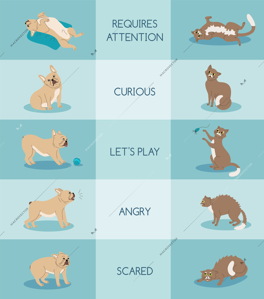 Cats and dogs emotion body language flat infographics with text captions and pets in different poses vector illustration