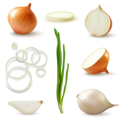 Realistic fresh yellow onion set with whole unpeeled peeled sliced vegetable rings sprouts isolated vector illustration