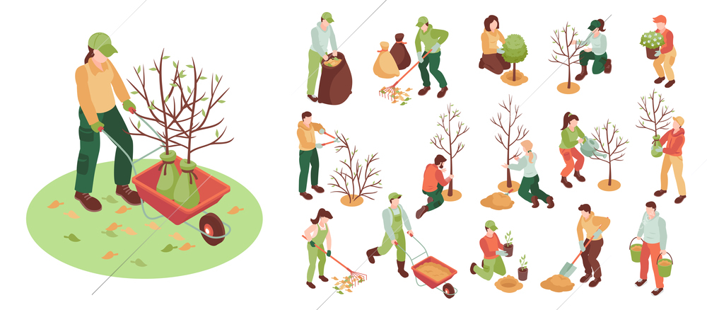 Isometric spring gardening icon set workers collect leaves care for trees and greenery plant trees weed beds vector illustration