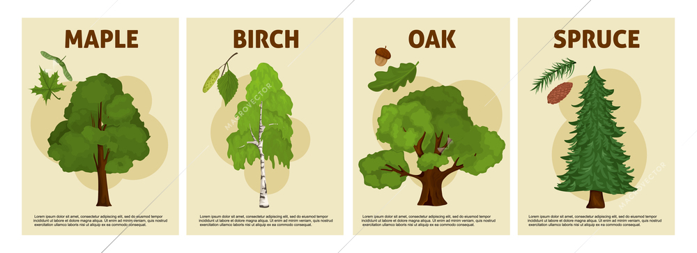 Tree poster set with four isolated vertical compositions of editable text and tree breeds with captions vector illustration