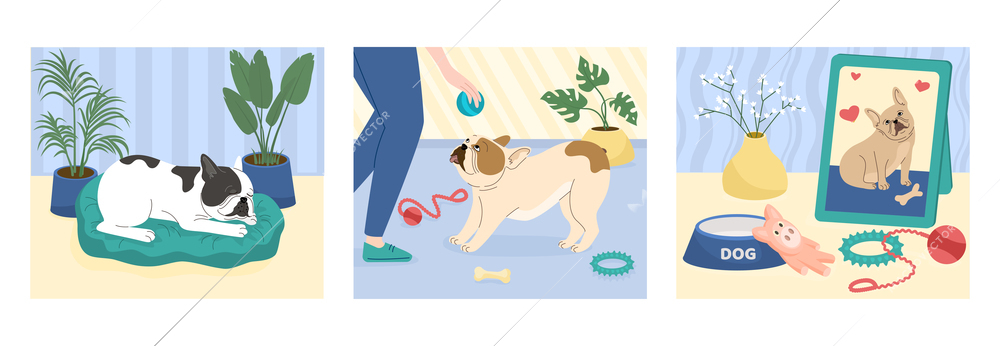 Dogs cards set with rest and activity symbols flat isolated vector illustration