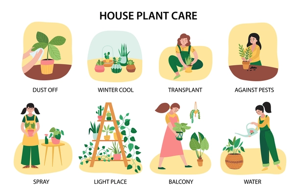 Home plants composition set with dust off winter cool transplant against pests spray light place balcony and water descriptions vector illustration