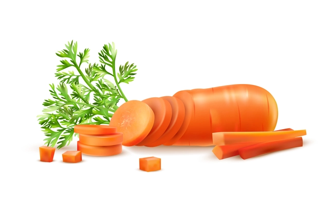 Realistic carrot composition with view of fresh vegetable with ripe leaves and sliced rings with sticks vector illustration