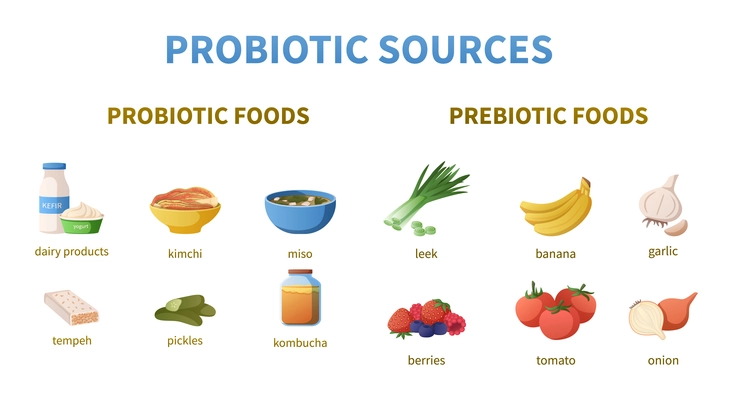 Probiotics infographics cartoon set with isolated icons of prebiotic foods with categories and editable text captions vector illustration