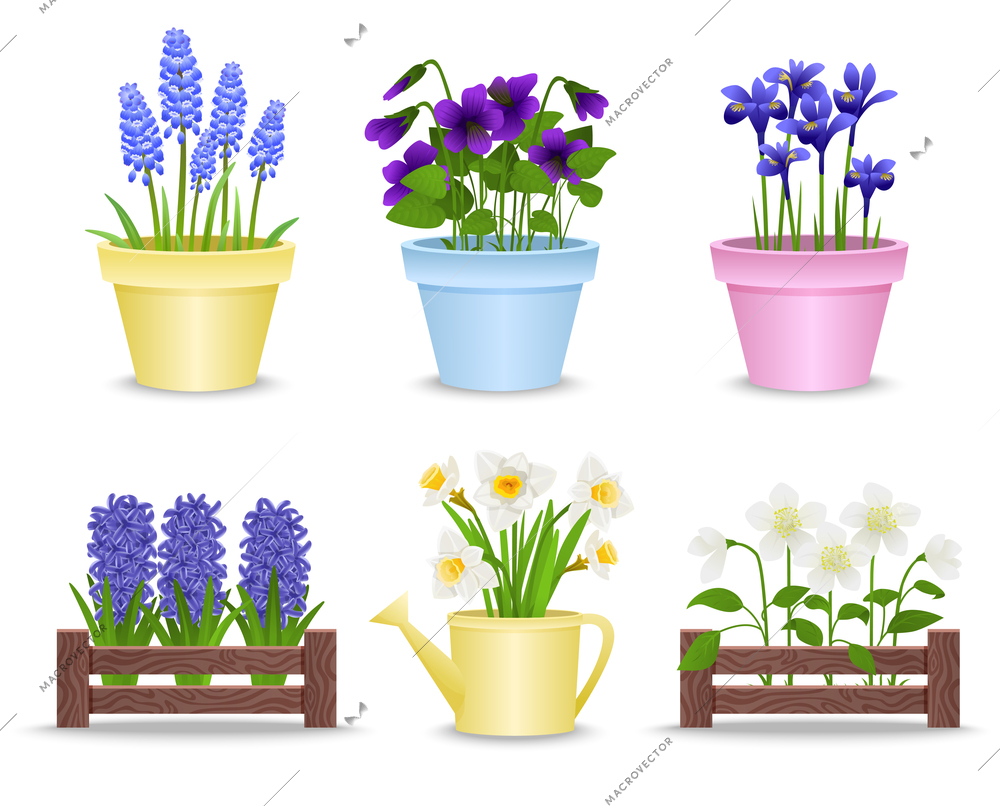 Spring flowers in pots set of flat isolated icons with plastic and wooden beds with flowers vector illustration