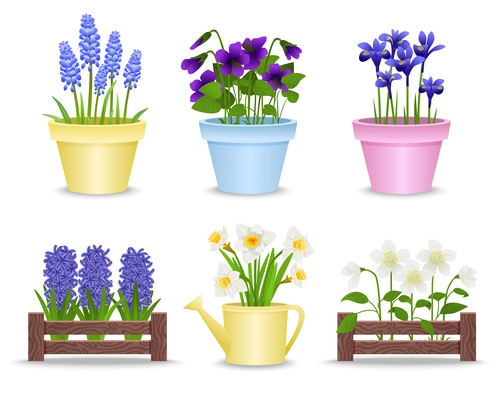 Spring flowers in pots set of flat isolated icons with plastic and wooden beds with flowers vector illustration