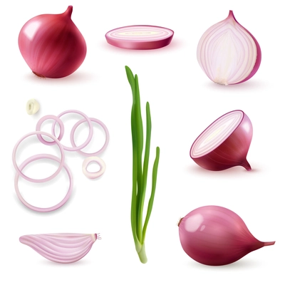 Red onion realistic set with bulbs slices sprouts on white background isolated vector illustration